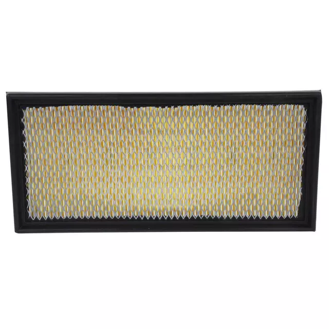 Air Filter - Ford (F5RZ-9601-B)