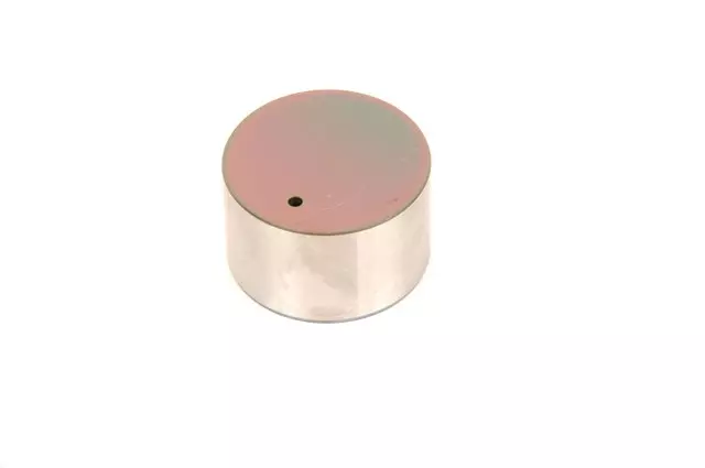 19317185 - : Engine Hydraulic Valve Adjuster/Valve Lifter for Chevrolet: City Express Image