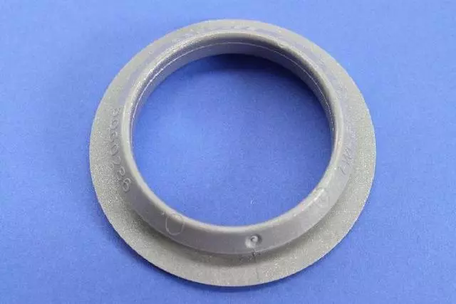 Ignition Key Cylinder Trim Ring - Mopar (1WH55XZ2AB)
