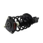 810220 - : Buick, Pontiac Suspension Strut and Coil Spring Assembly  - Front for GSP Image