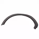 4L3Z16039CAPTM - Body: Wheel Opening Molding for Ford Image