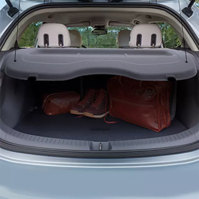 42533229 - : Cargo Area Security Enclosure for GM Image