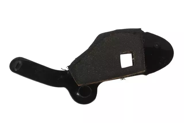 20875408 - Body: Seat Trim Panel for Cadillac: CTS Image