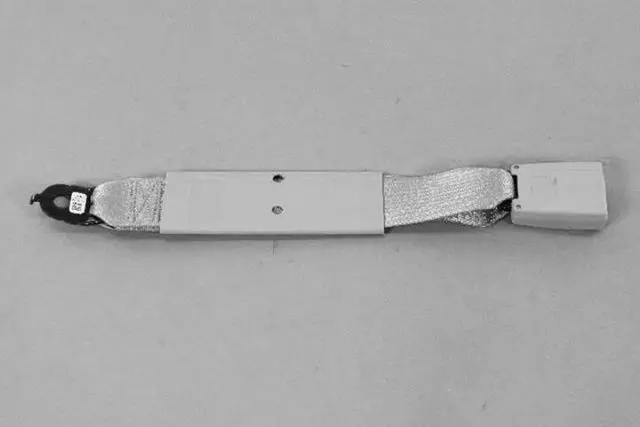 Front Center Seat Belt - Mopar (1XE65TX7AA)