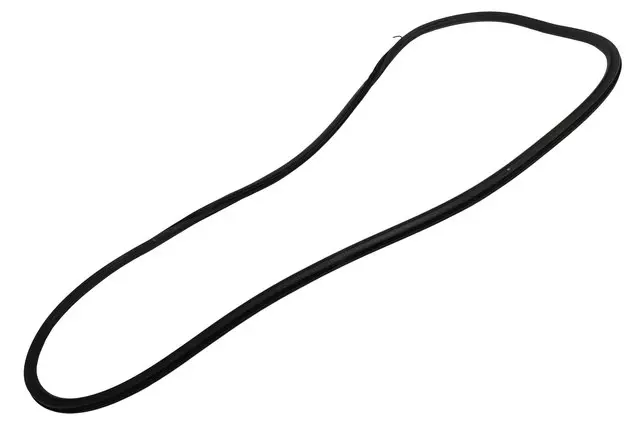 Rear Side Door Weatherstrip - GM (84738262)