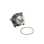 DP833 - : WATER PUMP-AUTO/LIGHT TRUCK, DAYCO for DAYCO HYDRAULIC Image
