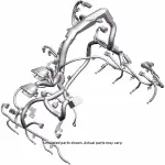 98020675 - : Engine Wiring Harness for GM Image