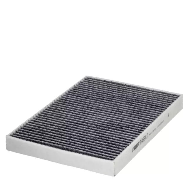 E4931LC - Filters: Hengst Cabin Air Filter for HENGST Image
