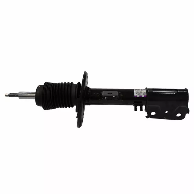 DB5Z18124K - : Suspension Strut for Ford: Explorer Image