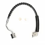 35054348 - : DFC Brake Hose for DYNAMIC FRICTION Image