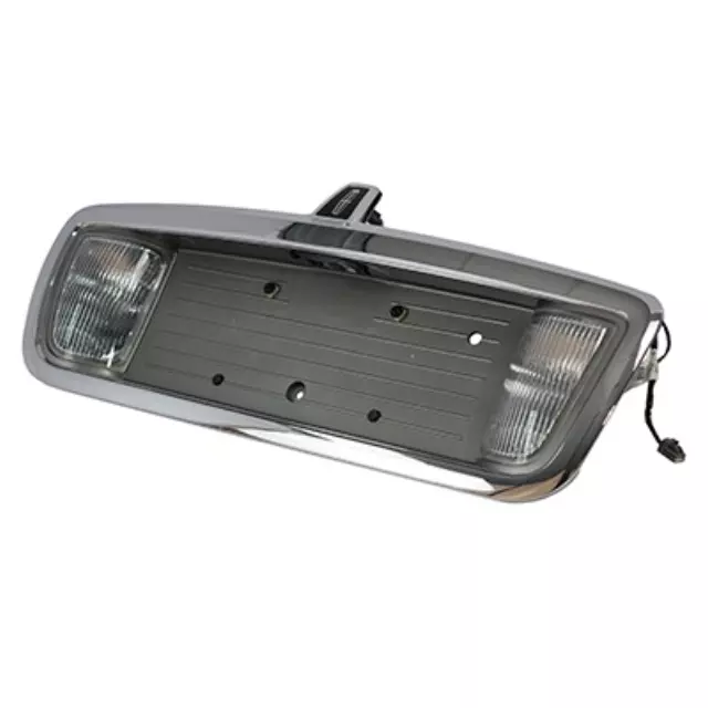 License Panel - Ford (6W1Z-17B390-AA)