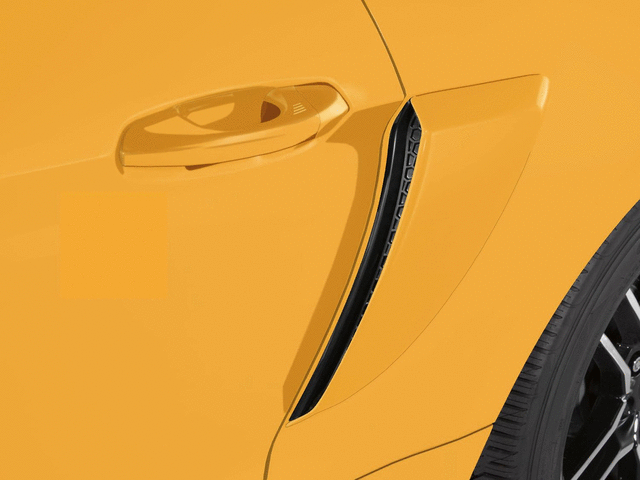 VKR3Z63279D36AD - Exterior: Side Scoop - Cyber Orange for Ford Image