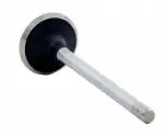 V3223 - : Engine Exhaust Valve for Enginetech Image
