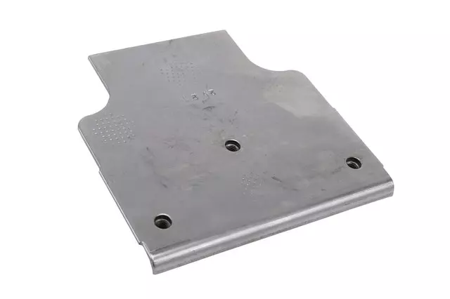 Rear Side Door Latch Striker Reinforcement - GM (15733552)