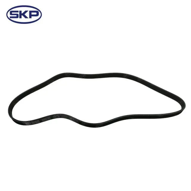SK040378HD - Engines &amp; Components: SKP Serpentine Belt for Skyward Automotive Image