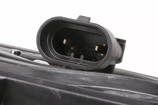 Capsule - GM (19435073)