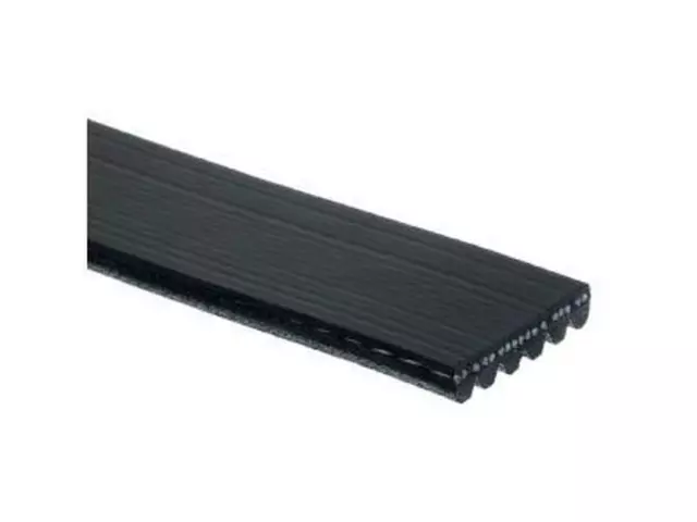 Serpentine Belt - Ford (4S4Z-8620-CC)