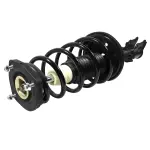 837213 - : 00-06 Hyundai Elantra Suspension Strut and Coil Spring Assembly  - Rear Right for GSP Image