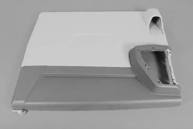 1JE161T1AA - Body: Door Trim Panel for Chrysler: Town &amp; Country | Dodge: Grand Caravan Image