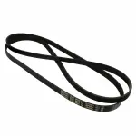 JK61013AD - Cooling System: Motorcraftâ„¢ Serpentine Belt for Ford: Explorer | Mercury: Mountaineer Image