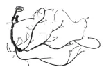 15836397 - : Engine Wiring Harness for GM Image