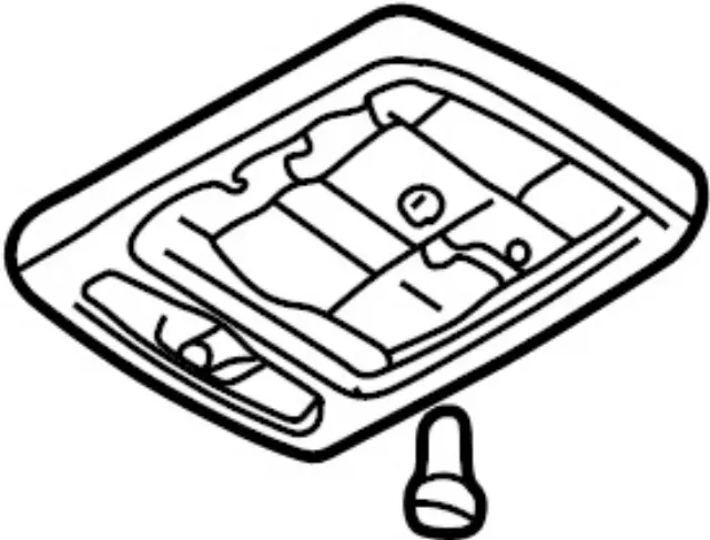 264102Y06A - : Overhead Lamp for INFINITI: I30, I35 Image