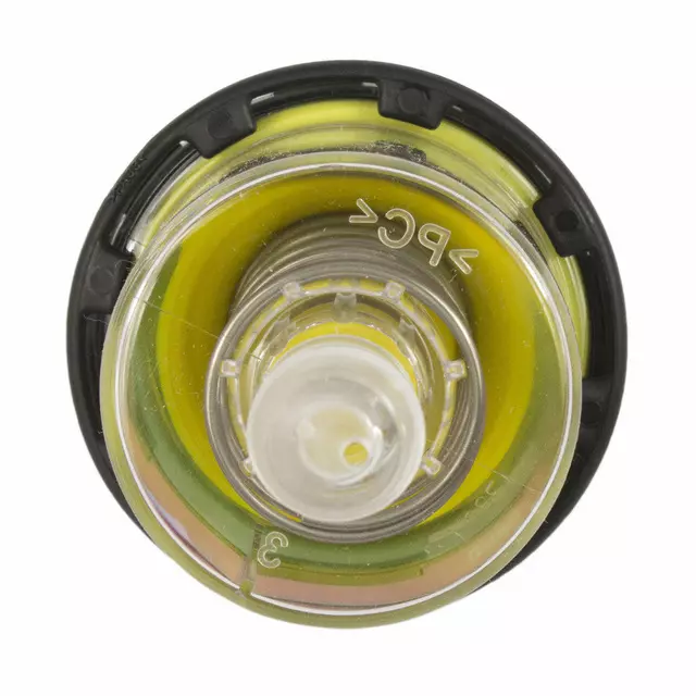 Air Filter Indicator - Ford (FA 1899)