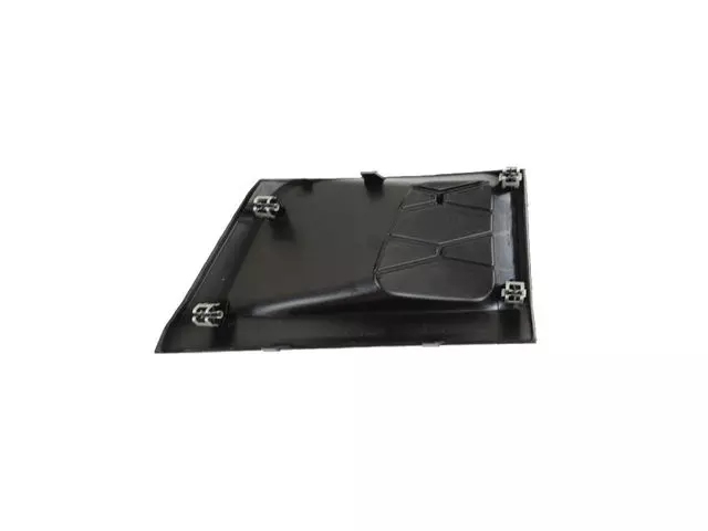 Front Fascia Bezel - Mopar (6AP19LXHAA)