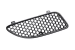 22690980 - : Grille for GM Image