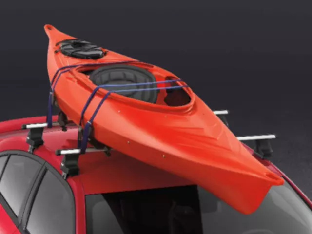 Water Sports Carrier
