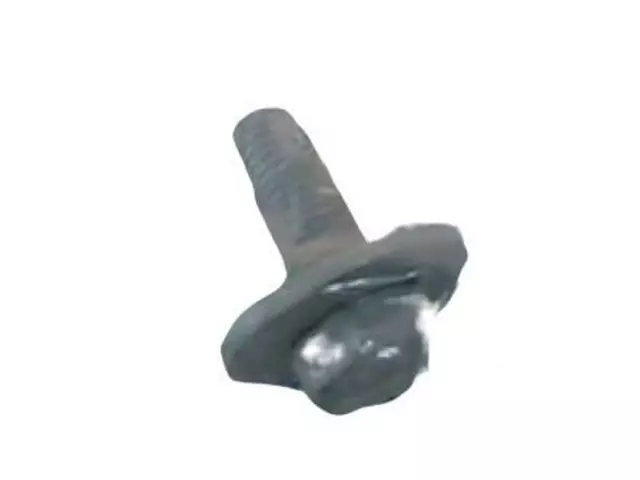 Hinge Screw - Ford (W711007-S439)