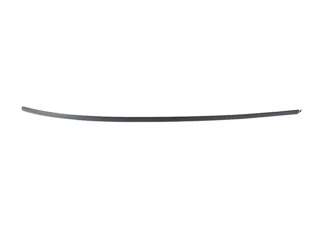 68228296AD - Exterior Ornamentation: Roof Molding, Right for Mopar Image