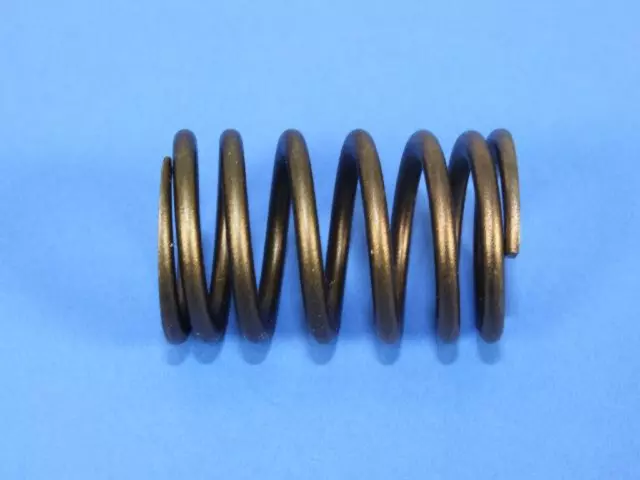 Valve Spring - Mopar (68299764AB)