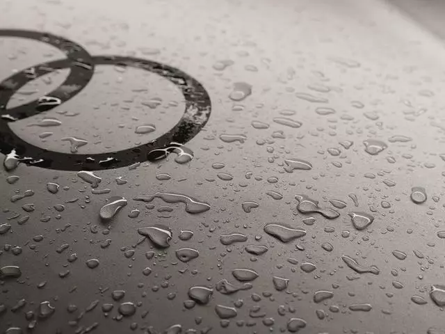 Outdoor Car Cover - Audi (ZAW-061-205-AR)