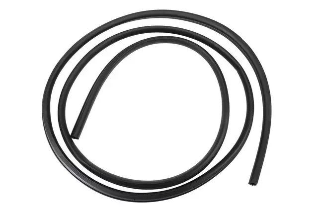 Weatherstrip - GM (13232870)