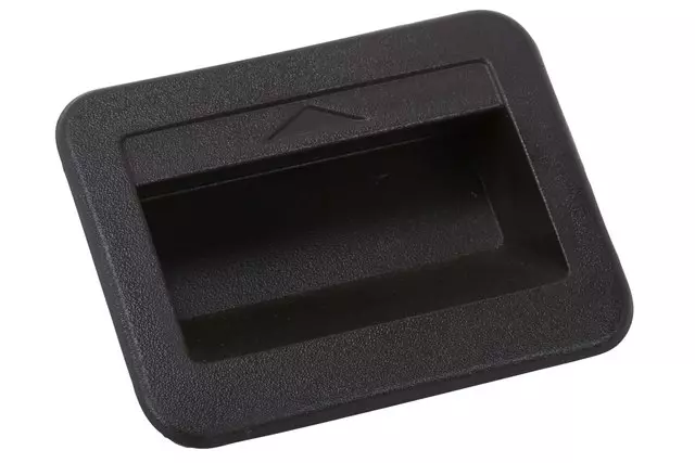 Cocoa Rear Compartment Stowage Tray Door Latch - GM (23161587)