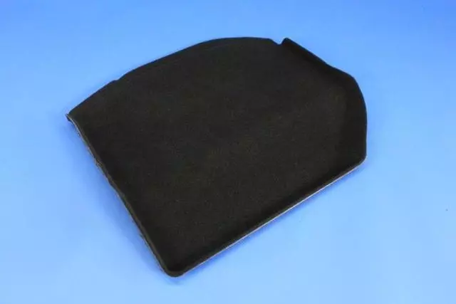 Insert Carpet, Right - Mopar (1WS40DX9AC)