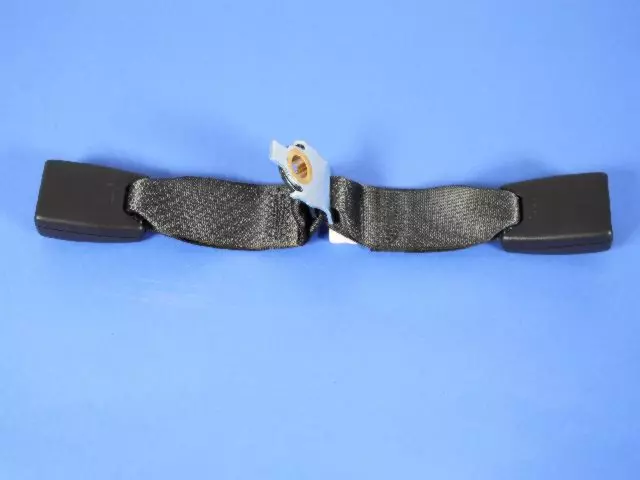 Rear Inner Seat Belt - Mopar (1BY491DVAB)