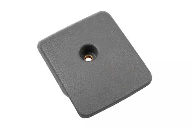 19316960 - Body: Access Cover for Chevrolet: City Express Image