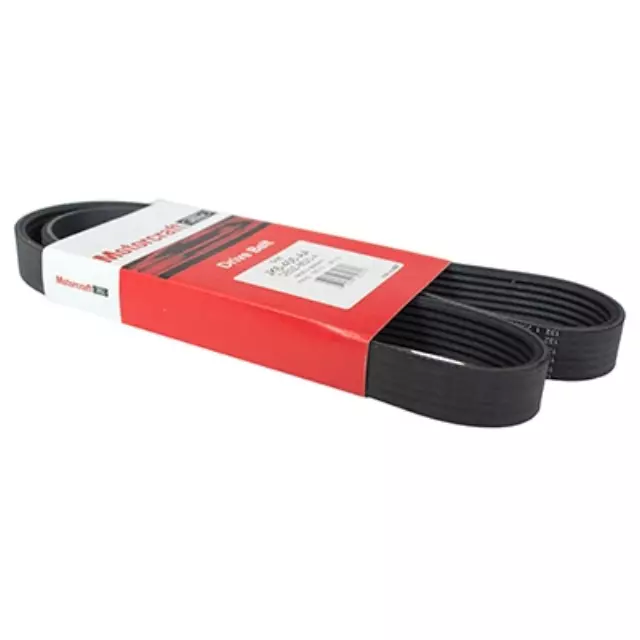 Serpentine Belt - Ford (DE9Z-8620-A)