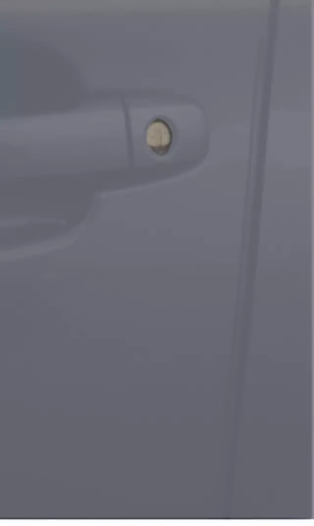 SOA801P060M4 - Exterior: Door Edge Guard Kit - Magnetite Gray Metallic for Subaru: Legacy, Outback Image