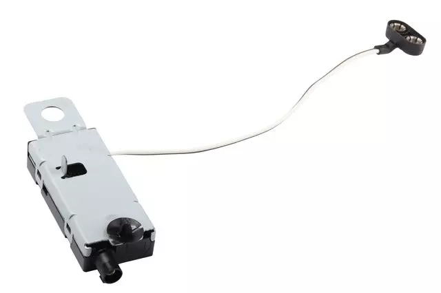 Radio Antenna Amplifier - GM (84848396)