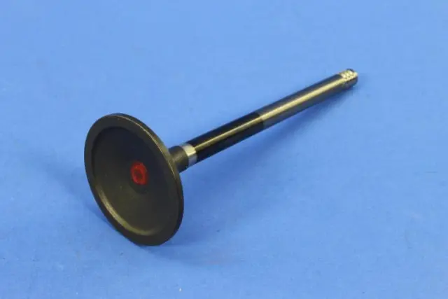 Engine Exhaust Valve, Right, Cylinder Head - Mopar (4893173AE)