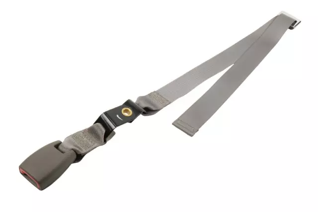 Inner Buckle - GM (19148943)