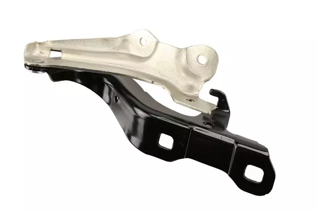 25978497 - Body: Hinge for Chevrolet: Volt Image