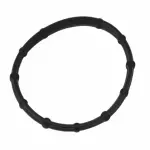 BC3Z6A632A - Emission System: Separator Gasket for Ford: F-250 Super Duty, F-350 Super Duty, F-450 Super Duty, F-550 Super Duty Image
