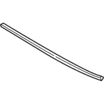 CM5Z16B990A - Body: Hood Seal for Ford: Focus Image