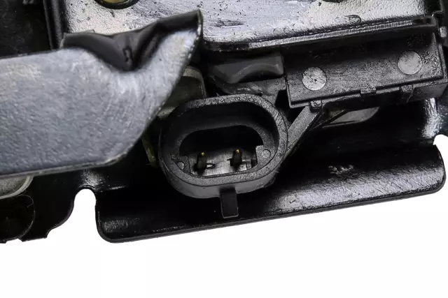 Rear Door and Liftgate Latch - GM (15926026)