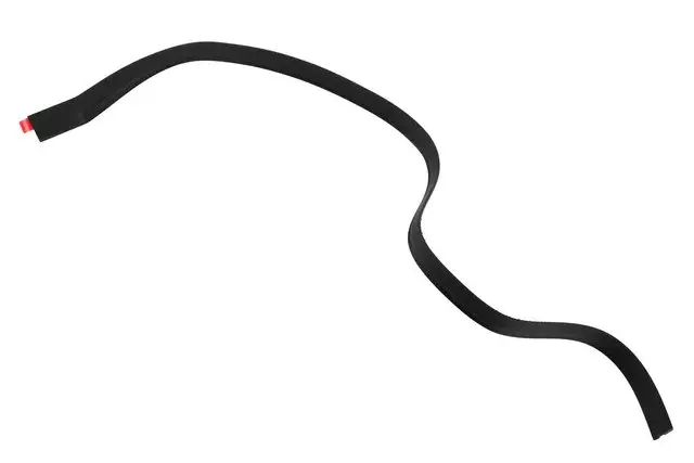 Rear End Spoiler Weatherstrip - GM (15881910)