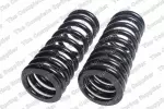 4114242 - : Lesjofors Coil Spring Set for Lesjofors Image